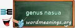 WordMeaning blackboard for genus nasua